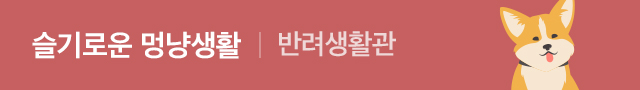 멀티띠배너(소)_반려생활관
